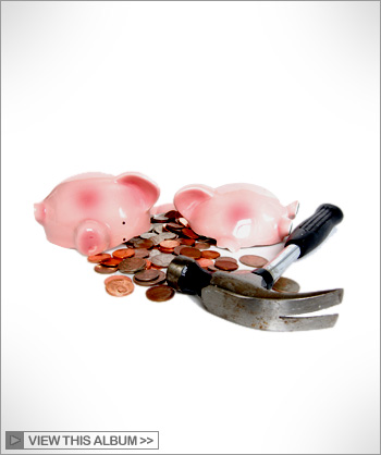 View this Commercial & Stock photo album >>