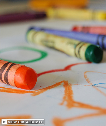 View this Commercial & Stock photo album >>