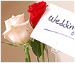 Sample this Photo Album >>