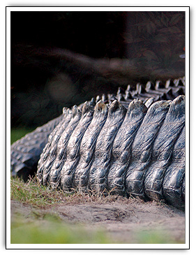 Click here to Continue...