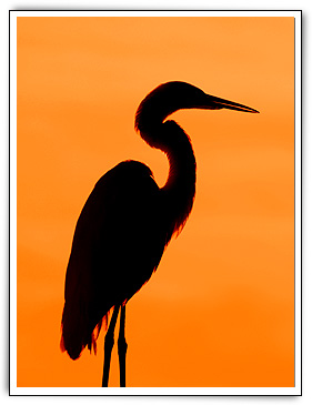 Click here to Continue...