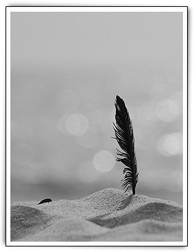 Click here to Continue...