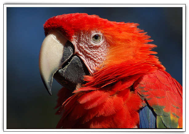 Click here to Continue...