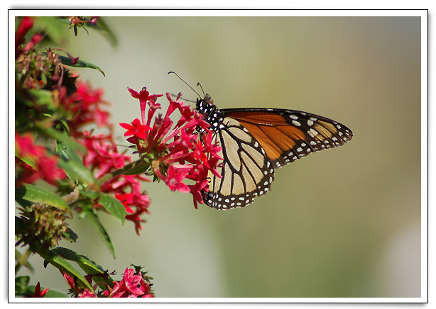 Click here to Continue...