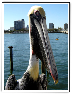 Click here to Continue...