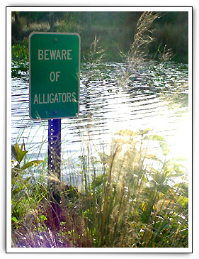 Click here to Continue...