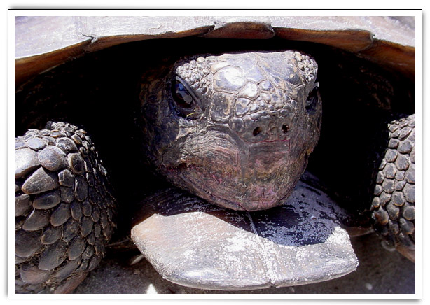 Click here to Continue...