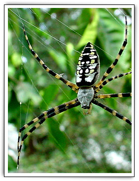 Click here to Continue...