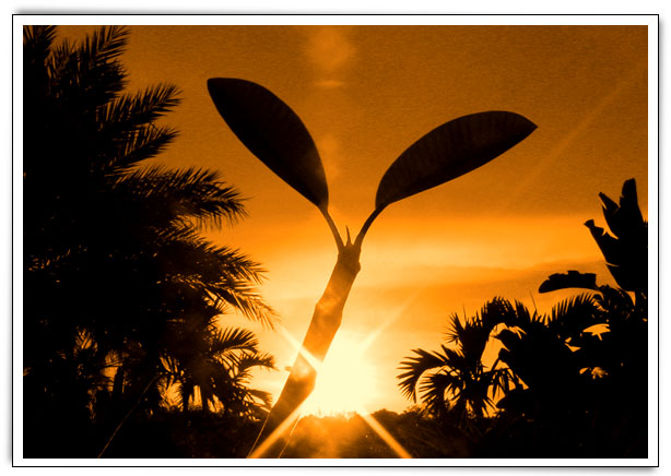 Click here to Continue...