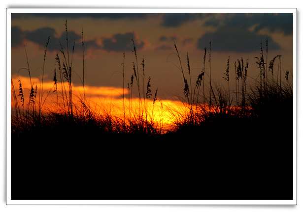 Click here to Continue...