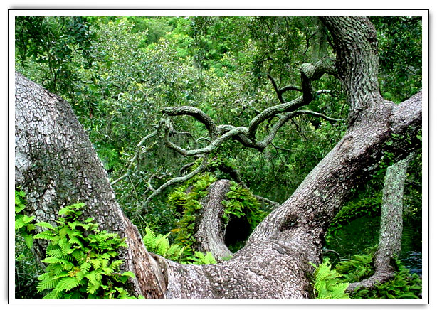 Click here to Continue...